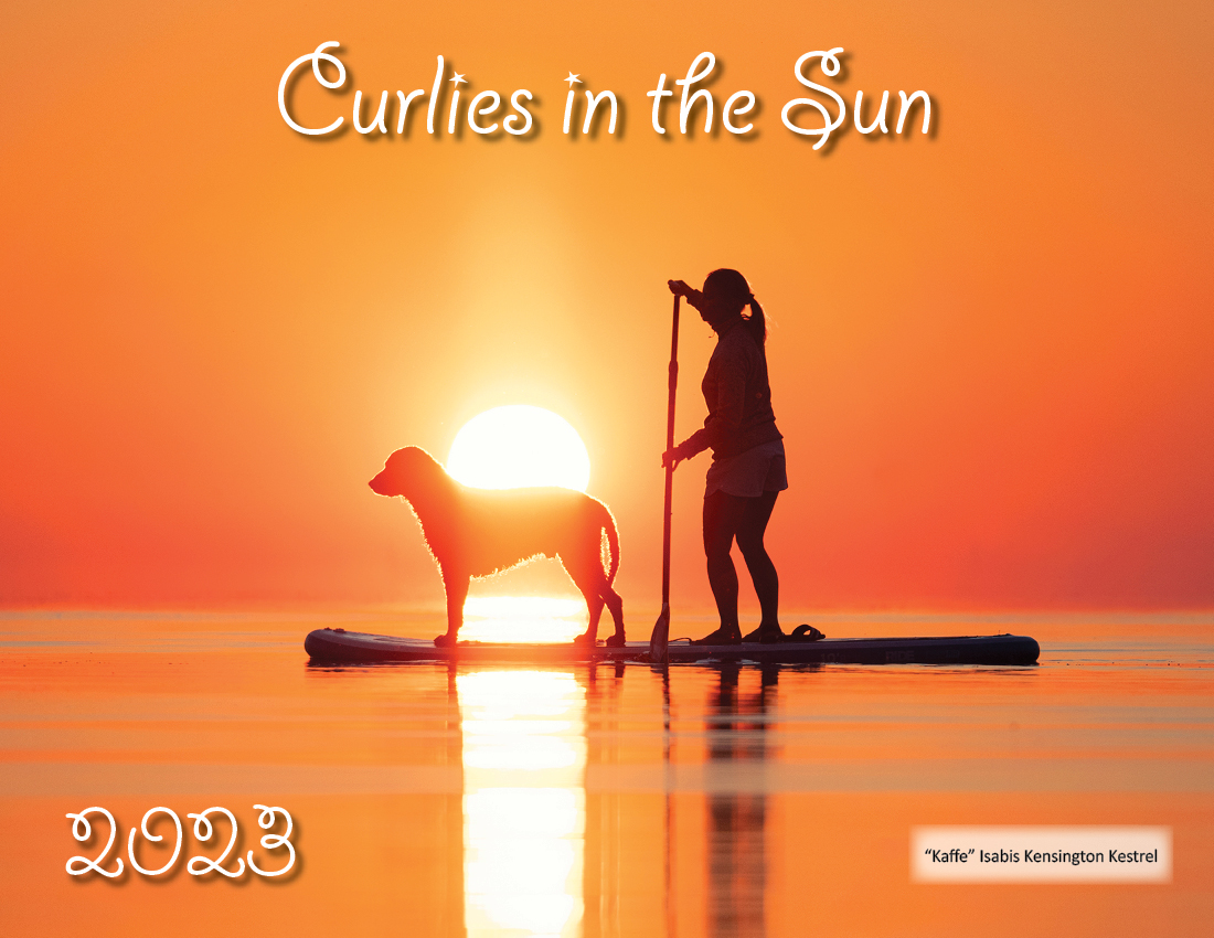 Calendar Cover "Curlies in the Sun"